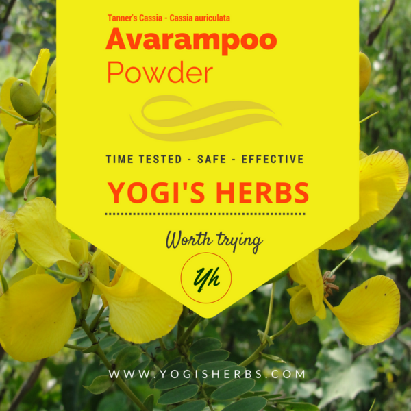 Avarampoo Powder (Senna auriculata)- Fresh & Pure 1