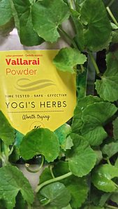 Vallarai Powder ( Centella asiatica / Gotu Kola )- Fresh & Pure 2