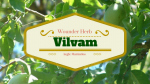 Vilvam - The Wonder Herb 22