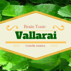 Vallarai – The Brain Tonic 12