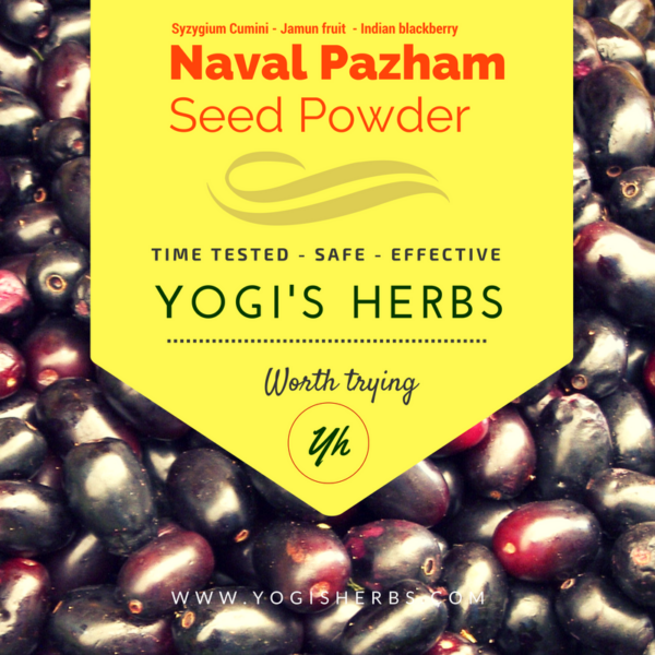 Naval Pazham Seed Powder ( Jamun Seed / Indian Blackberry )- Fresh & Pure 1