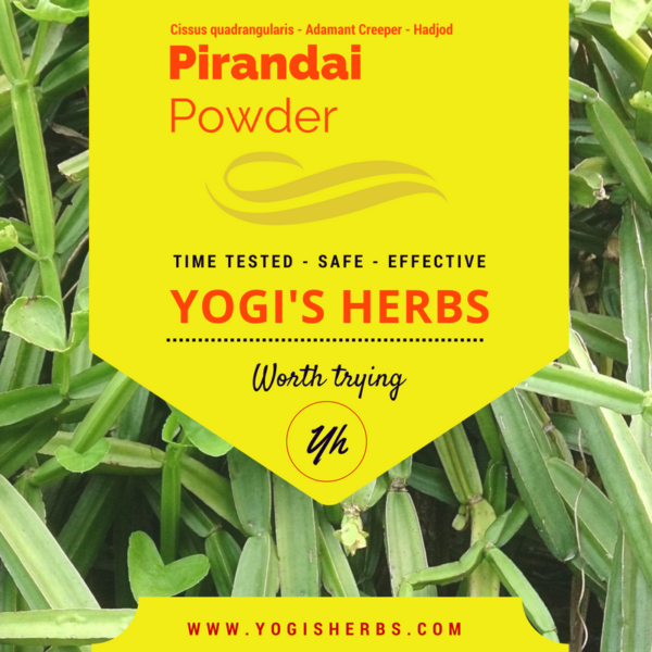 Pirandai Powder-( Cissus quadrangularis / Hadjod ) Fresh & Pure 1