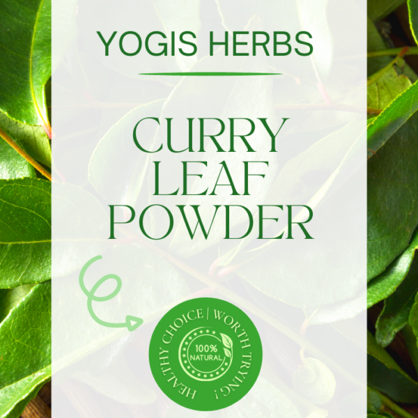 curry leaves powder