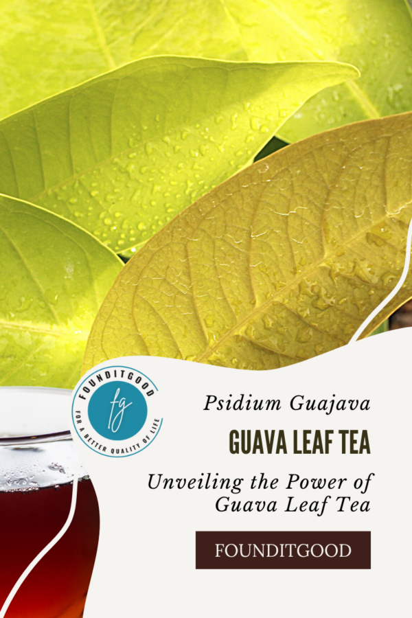 Guava Leaves Tea / Herbal Infusion ( Psidium Guajava ) – 20 Dip Bags 2